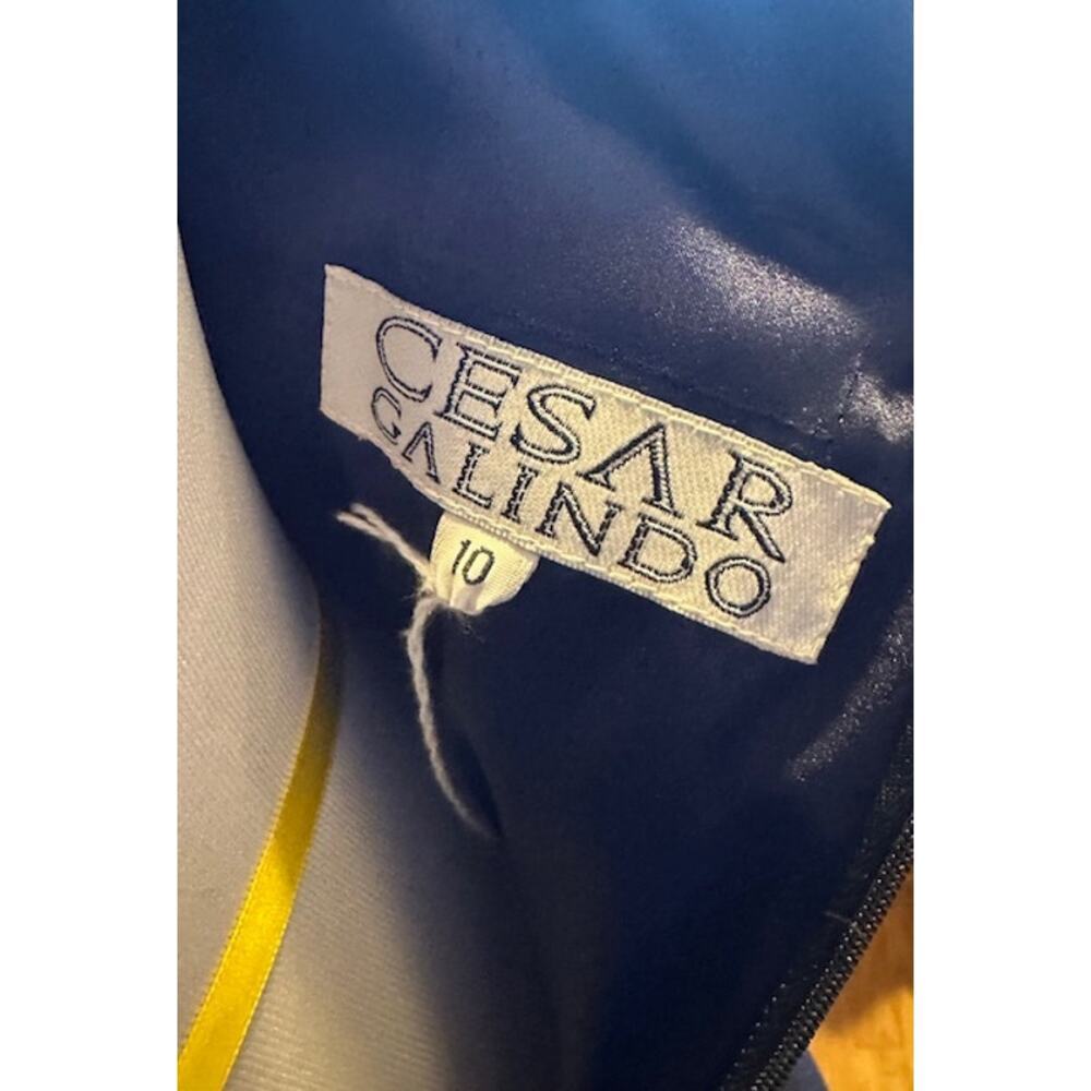 Cesar Galindo New York Fashion Week Black Column Gown Sz 10 EUC MSRP $3,000 - Picture 5 of 5